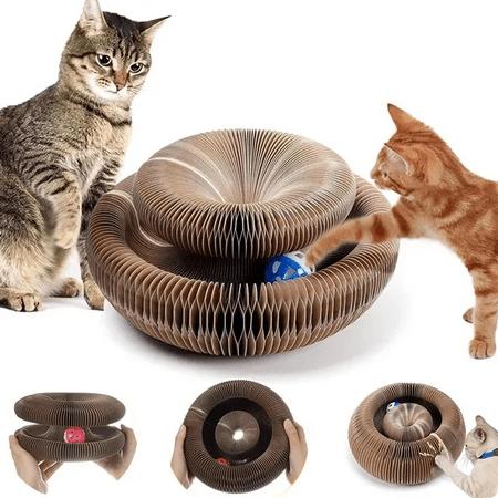 Cat Magic Organ Scratcher Board Round Toy