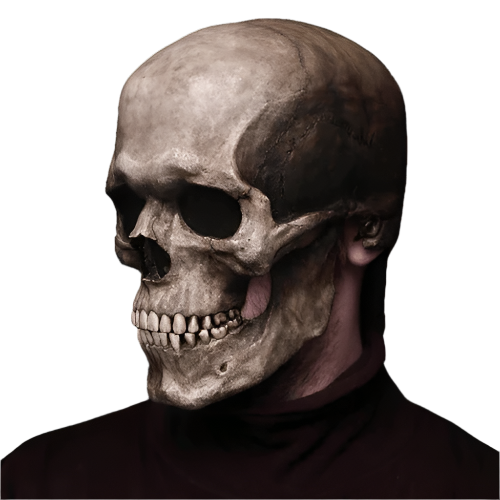 Halloween Movable Skeleton Skull Mask Costume
