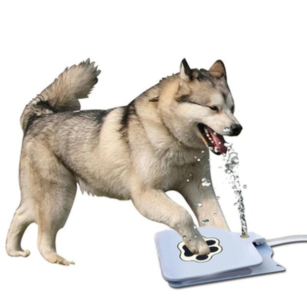 Outdoor Dog Pet Water Fountain