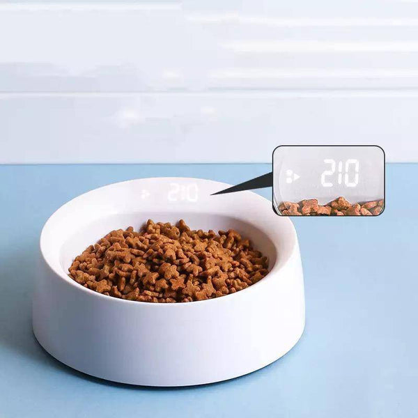 Pet Bowl Feeder Cat Pet Supplies Single Bowl