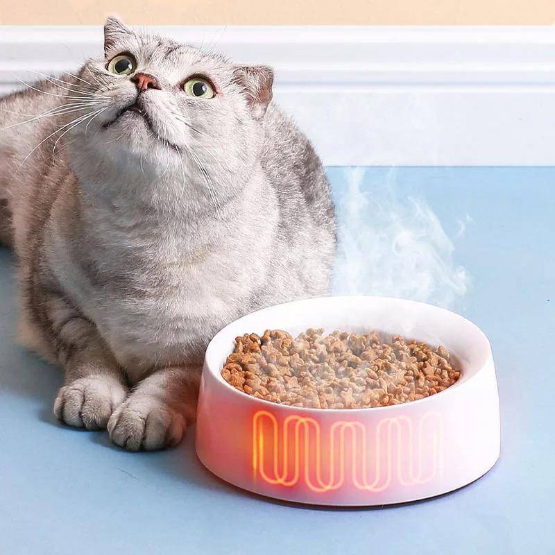 Pet Bowl Feeder Cat Pet Supplies Single Bowl