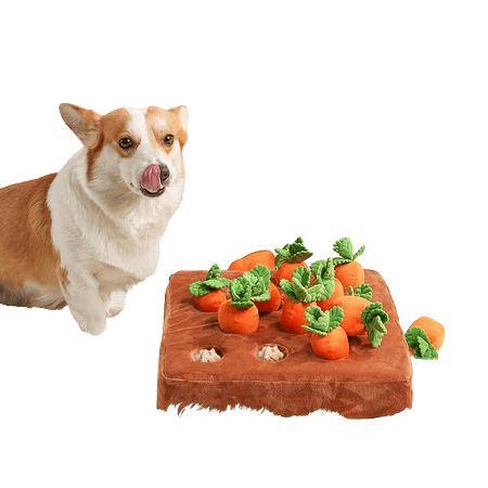 Pet Dog Carrot Food Snuffle Chew Mat Toy