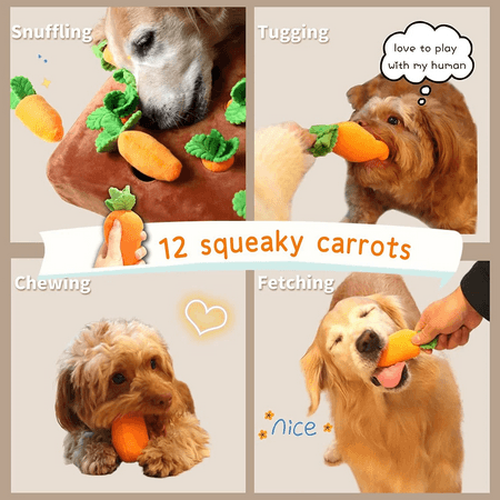 Pet Dog Carrot Food Snuffle Chew Mat Toy