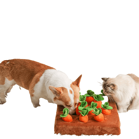 Pet Dog Carrot Food Snuffle Chew Mat Toy Brown