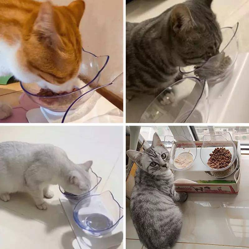 Single & Double Bowl Cat With Raised Stand Pet Food
